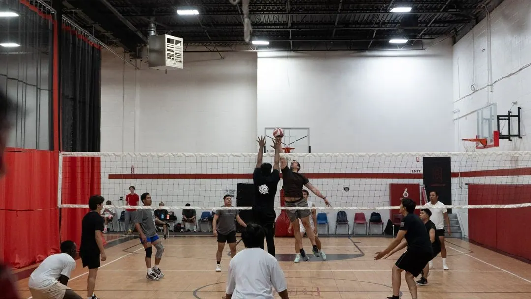 Volleyball Team Dynamics