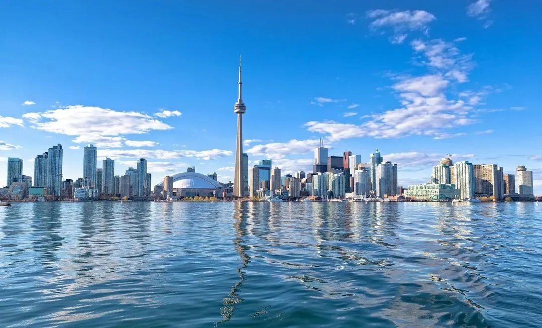 Where to Play Grass Volleyball in Toronto